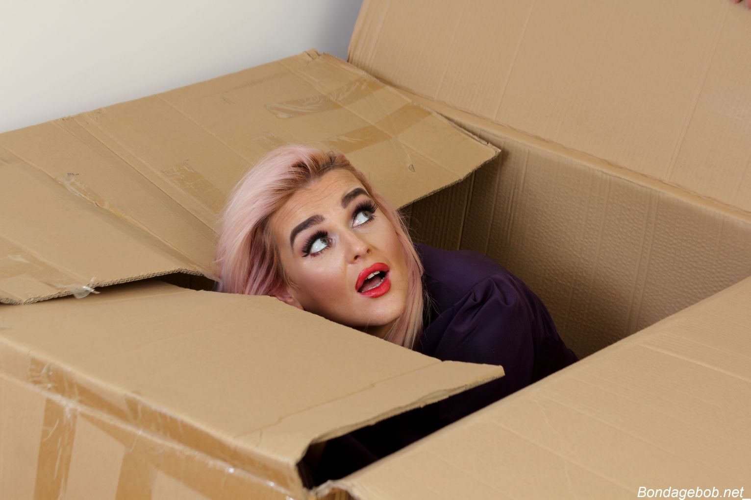 Tied Sexy Beauties 145-1