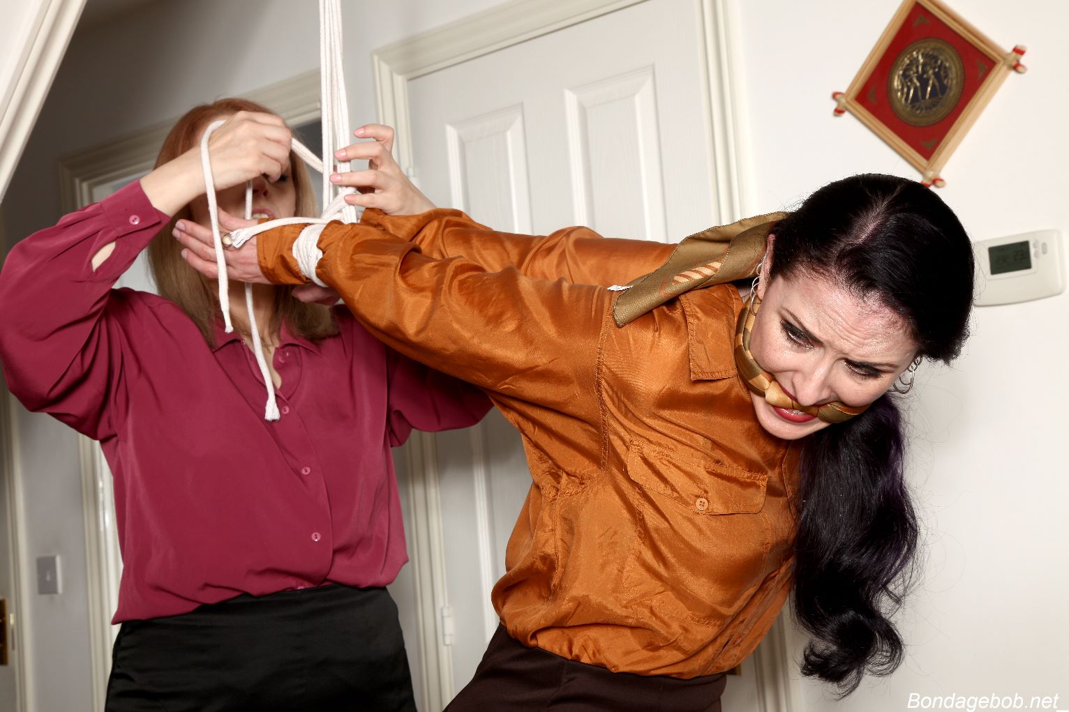 Tied Sexy Beauties 146-1