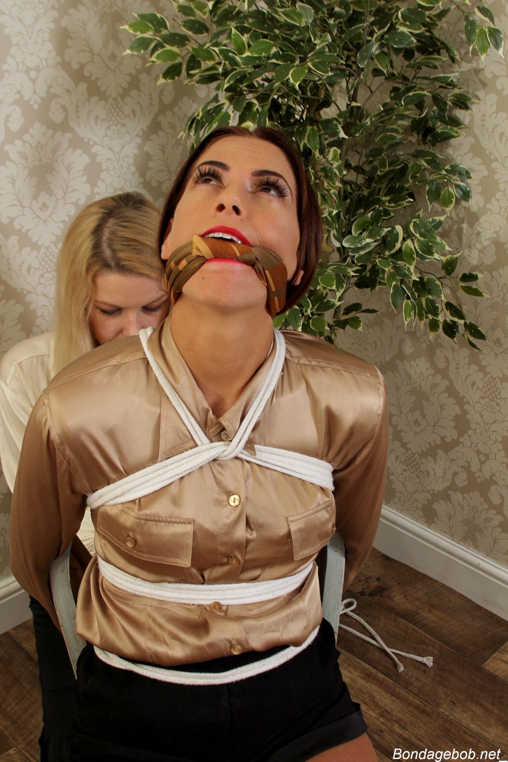 Tied Sexy Beauties 151-2