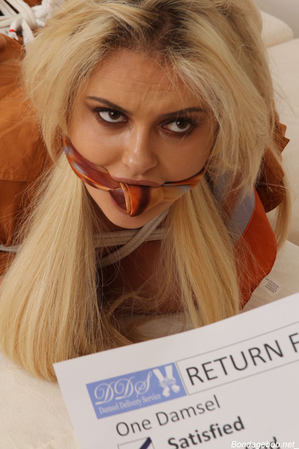 Tied Sexy Beauties 163-4