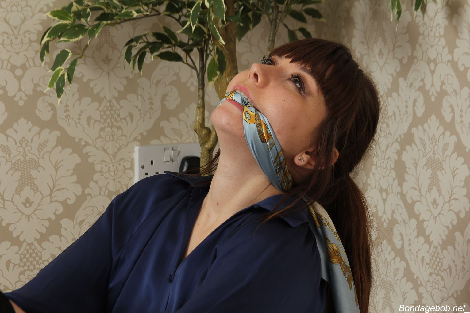 Tied Sexy Beauties 164-2