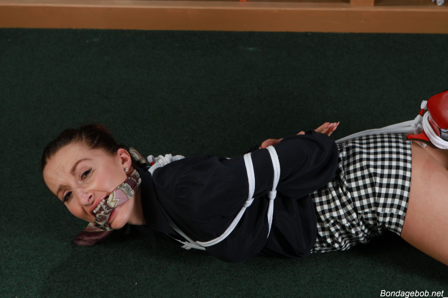 Tied Sexy Beauties 171-2