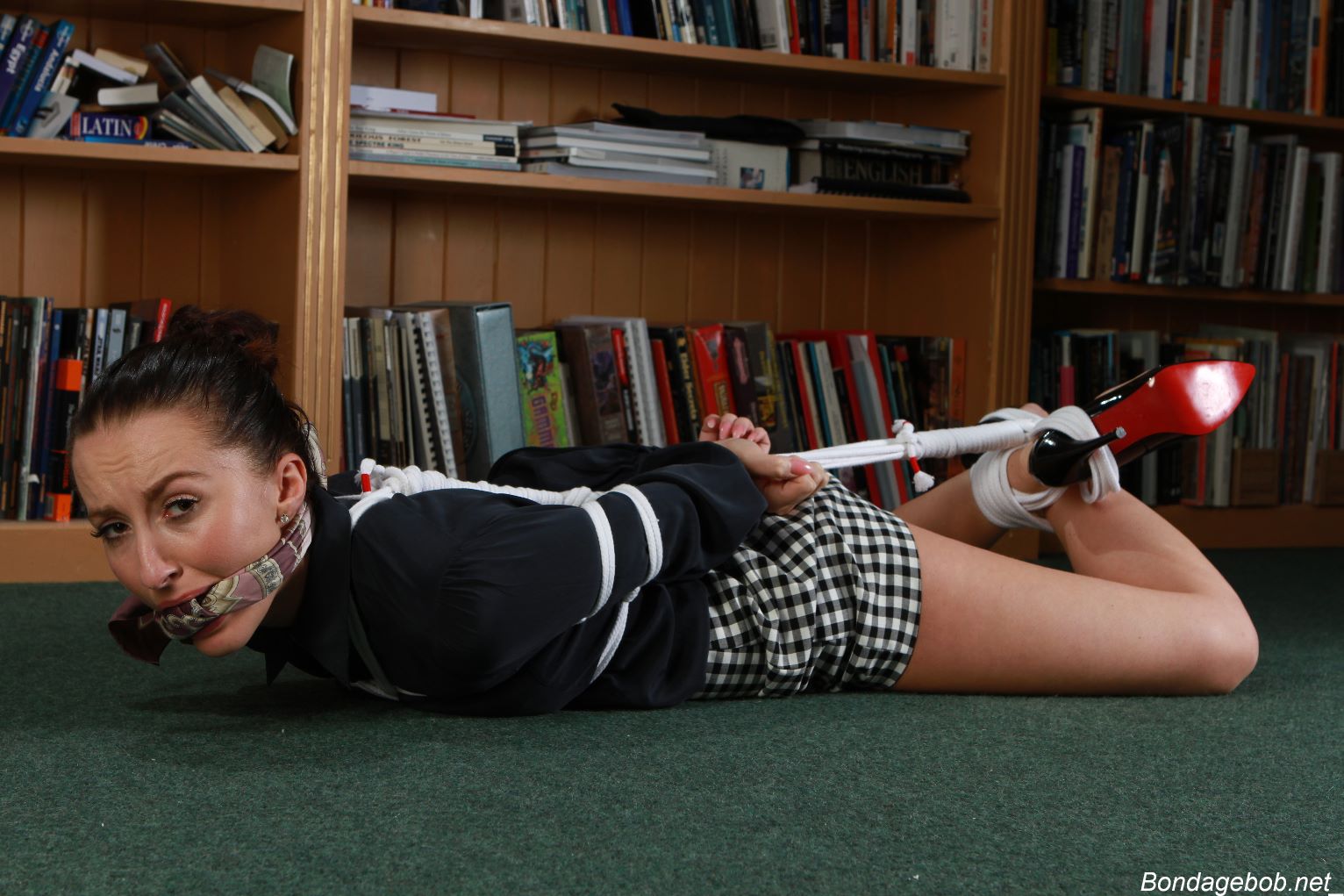 Tied Sexy Beauties 171-2