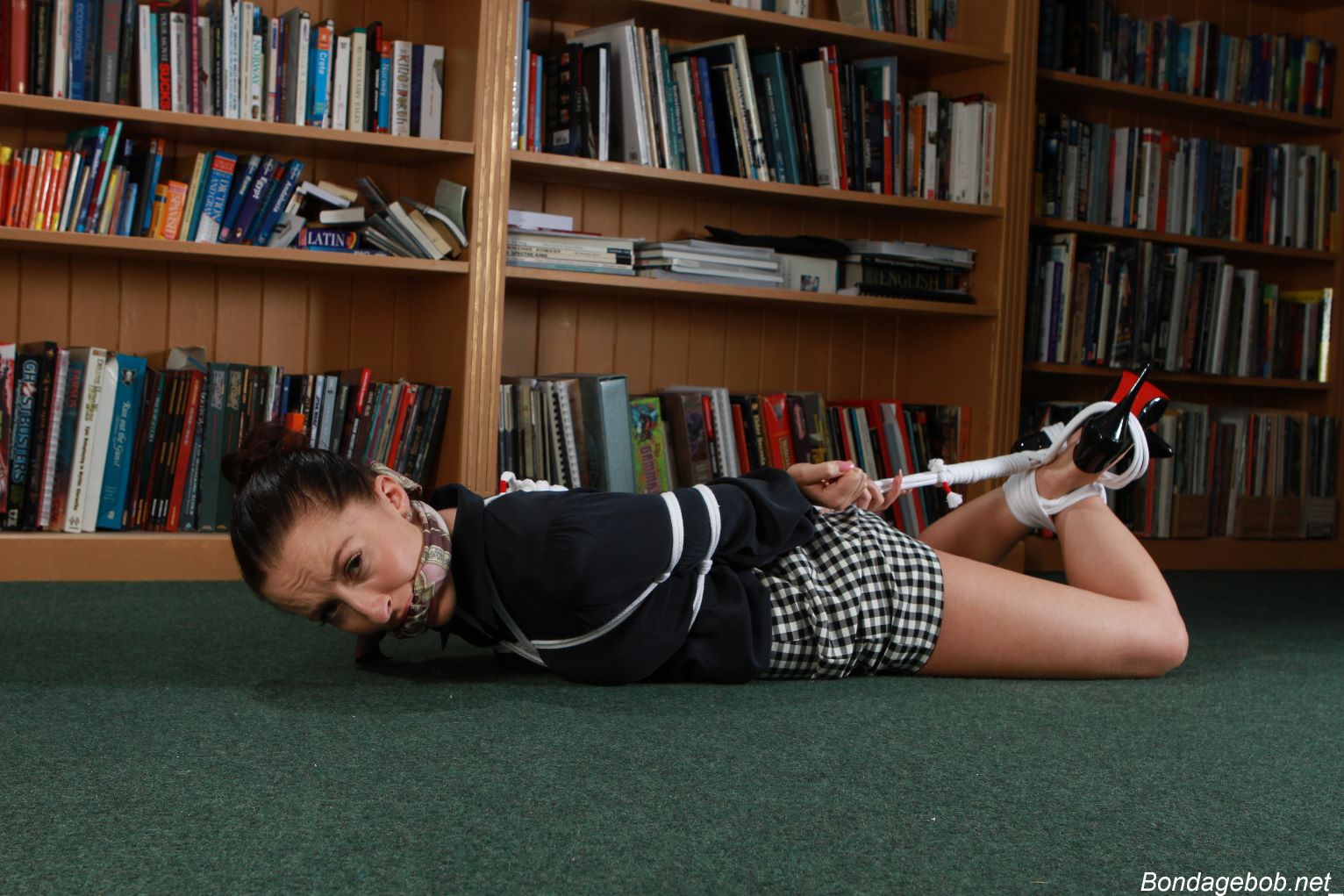 Tied Sexy Beauties 171-2