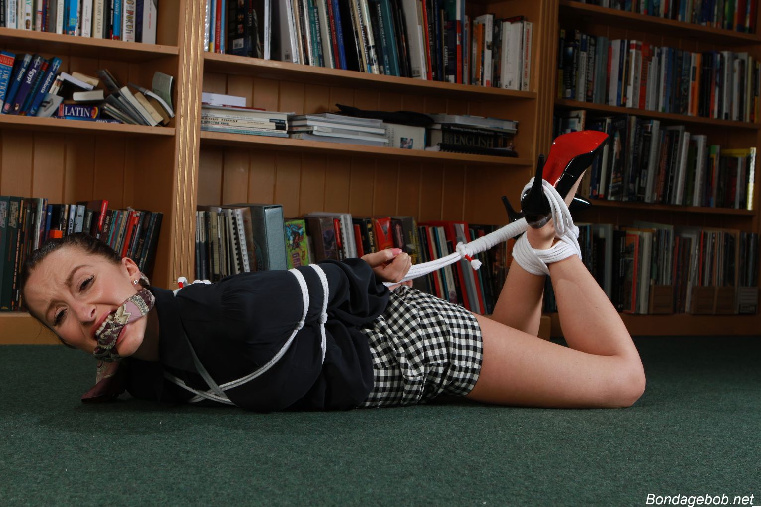 Tied Sexy Beauties 171-2