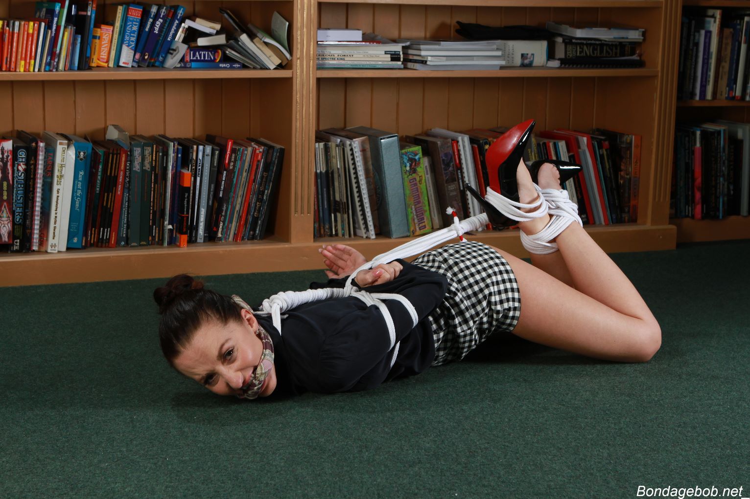 Tied Sexy Beauties 171-2