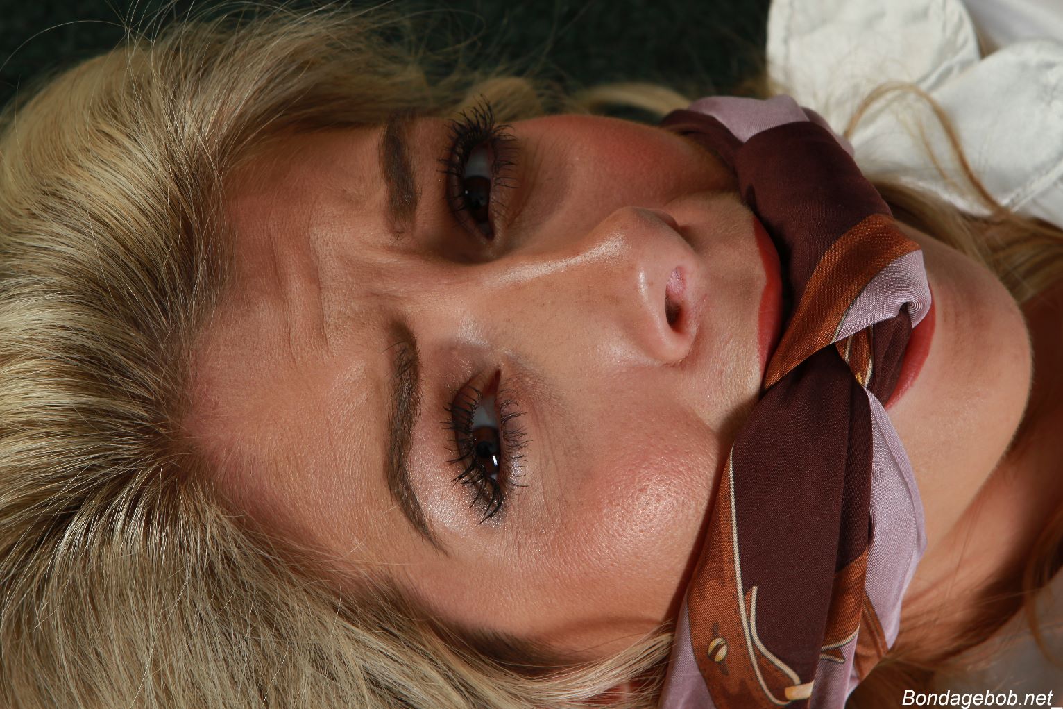 Tied Sexy Beauties 176-2