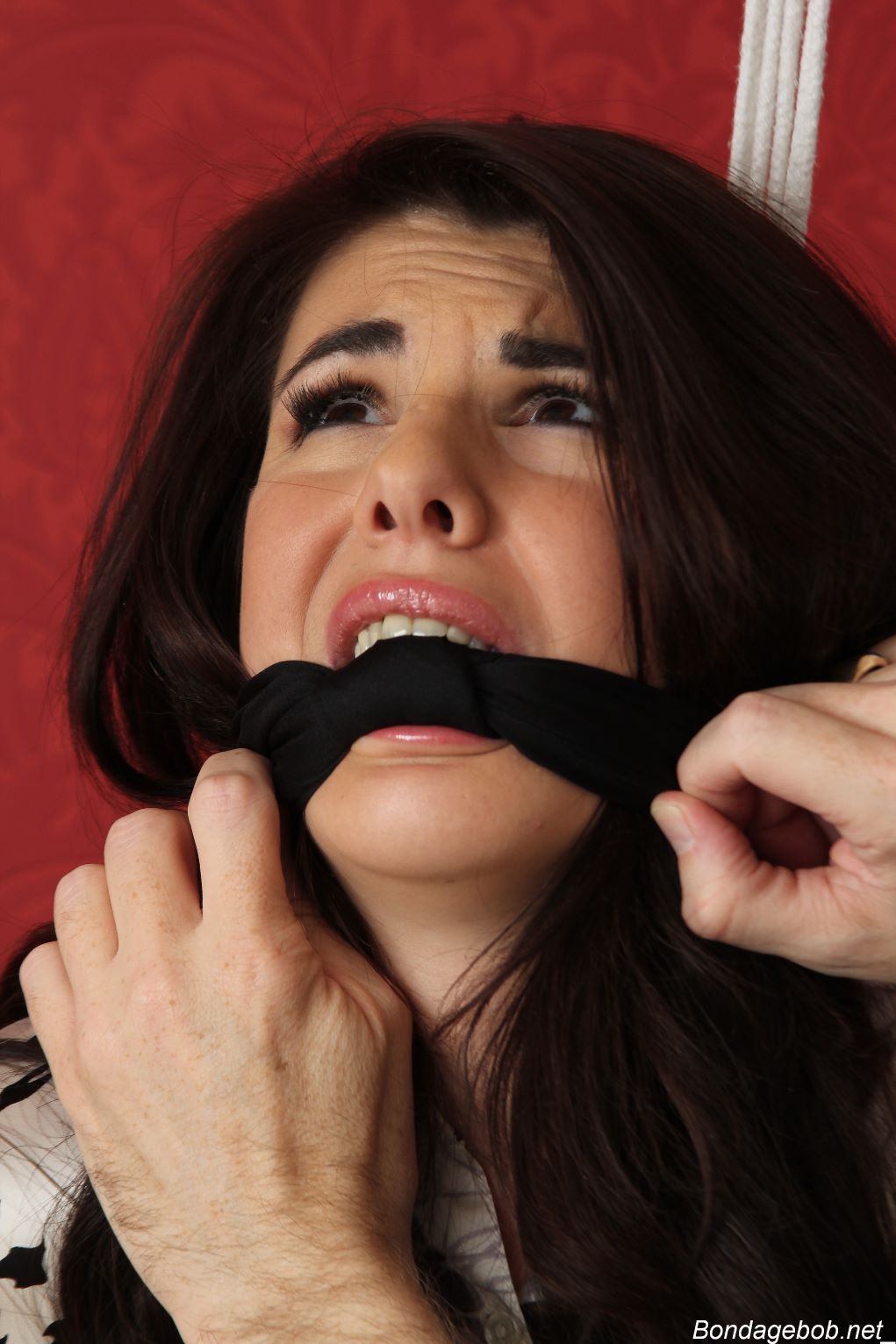 Tied Sexy Beauties 184-2