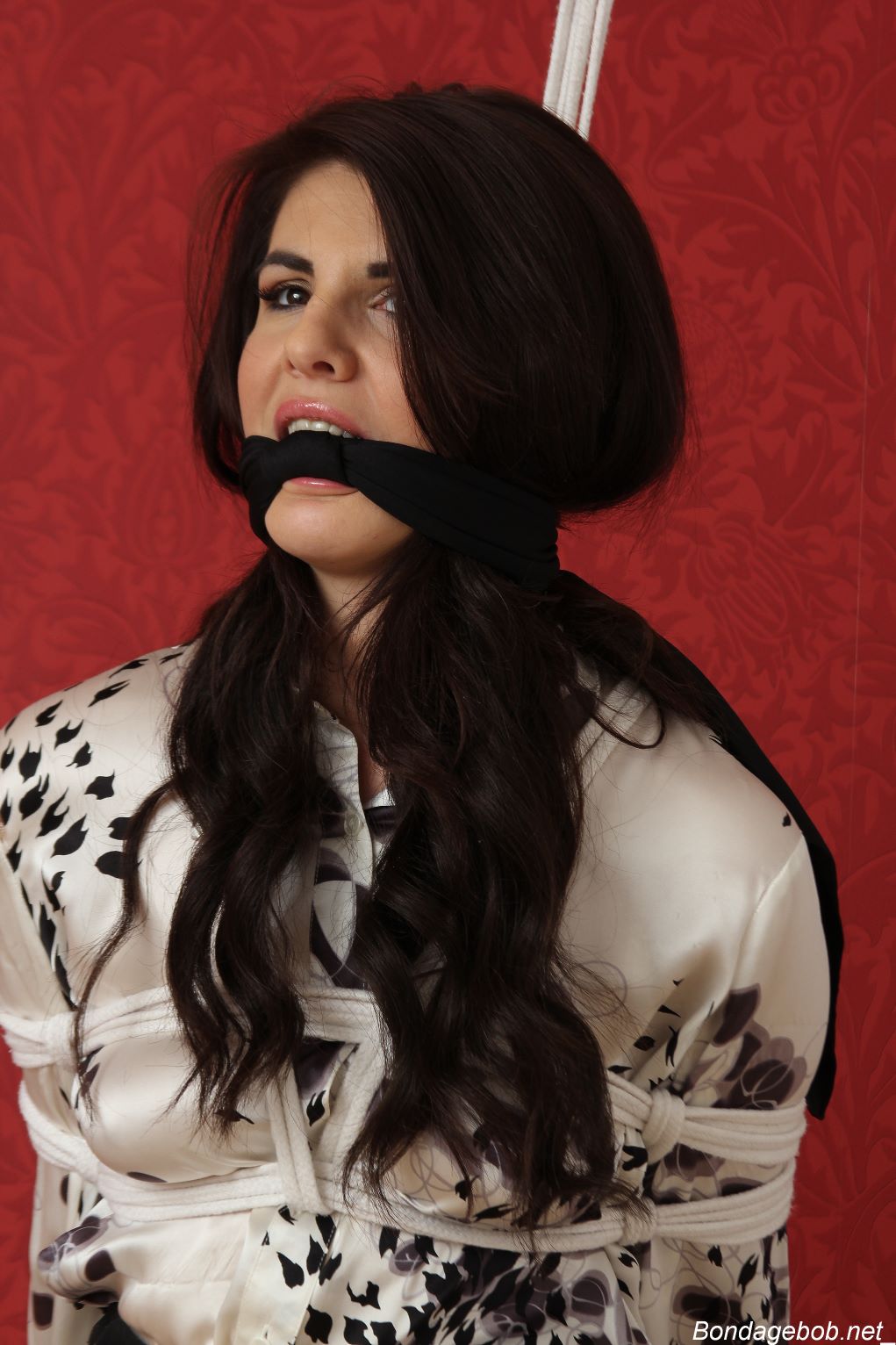 Tied Sexy Beauties 184-2