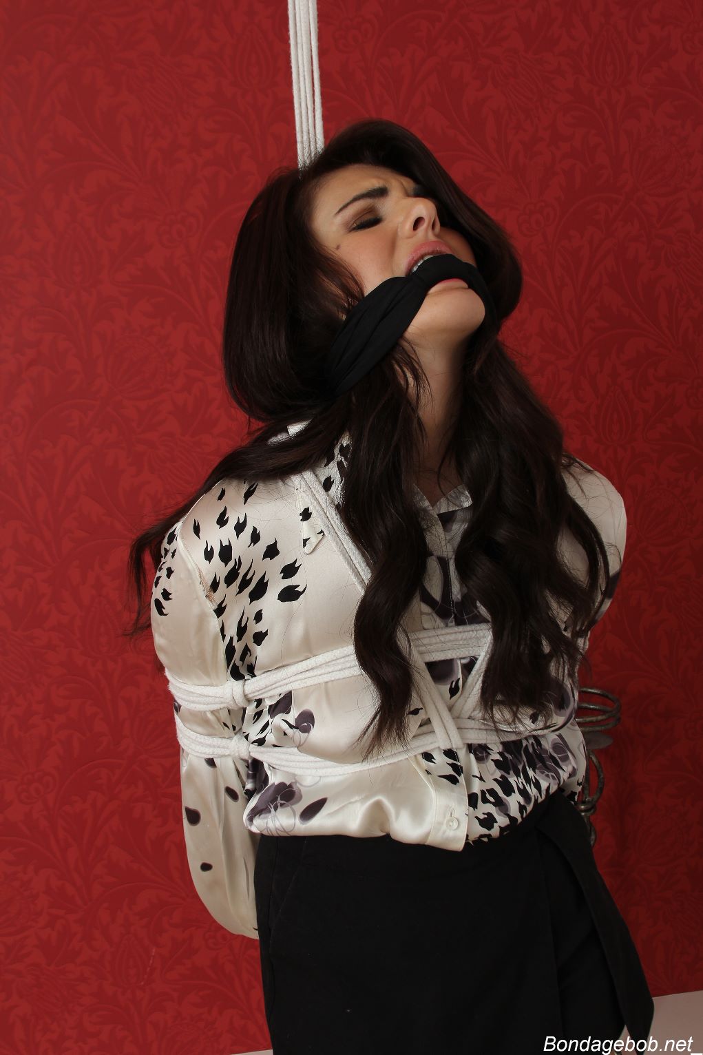 Tied Sexy Beauties 184-2