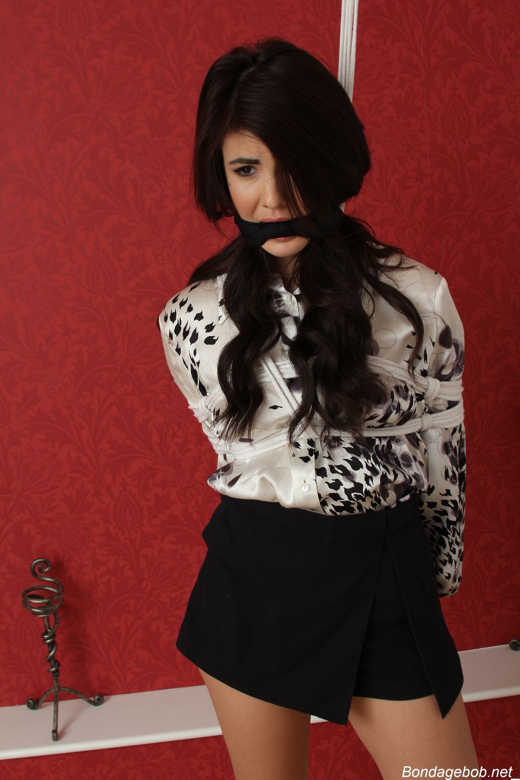 Tied Sexy Beauties 184-2