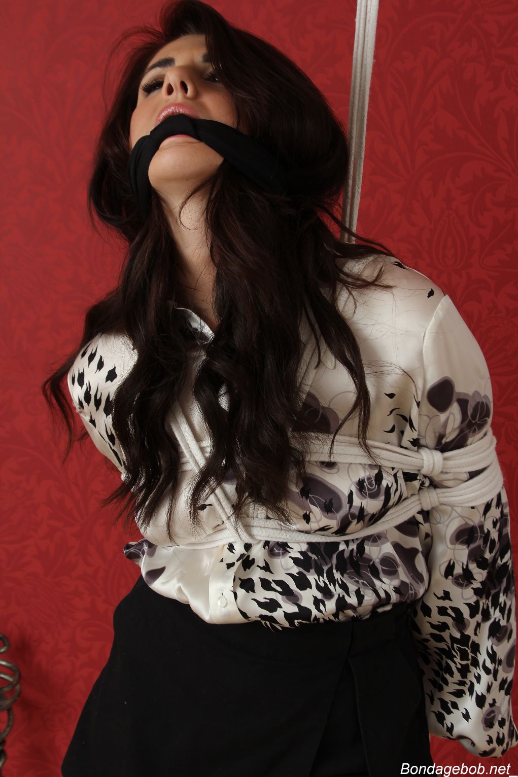 Tied Sexy Beauties 184-2