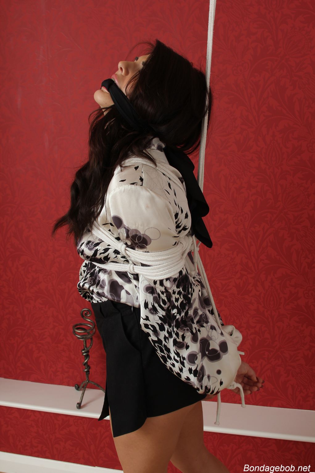 Tied Sexy Beauties 184-2