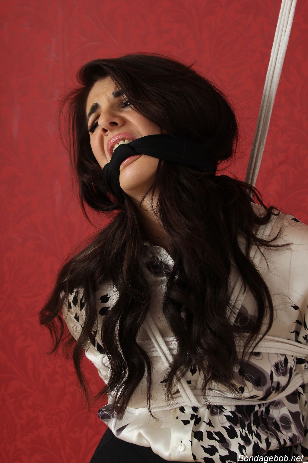 Tied Sexy Beauties 184-2