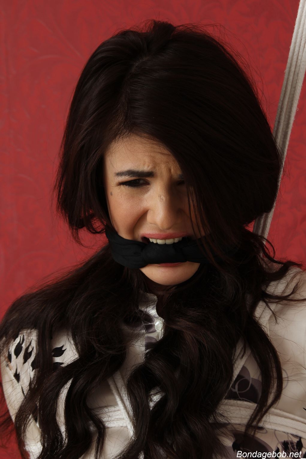 Tied Sexy Beauties 184-2