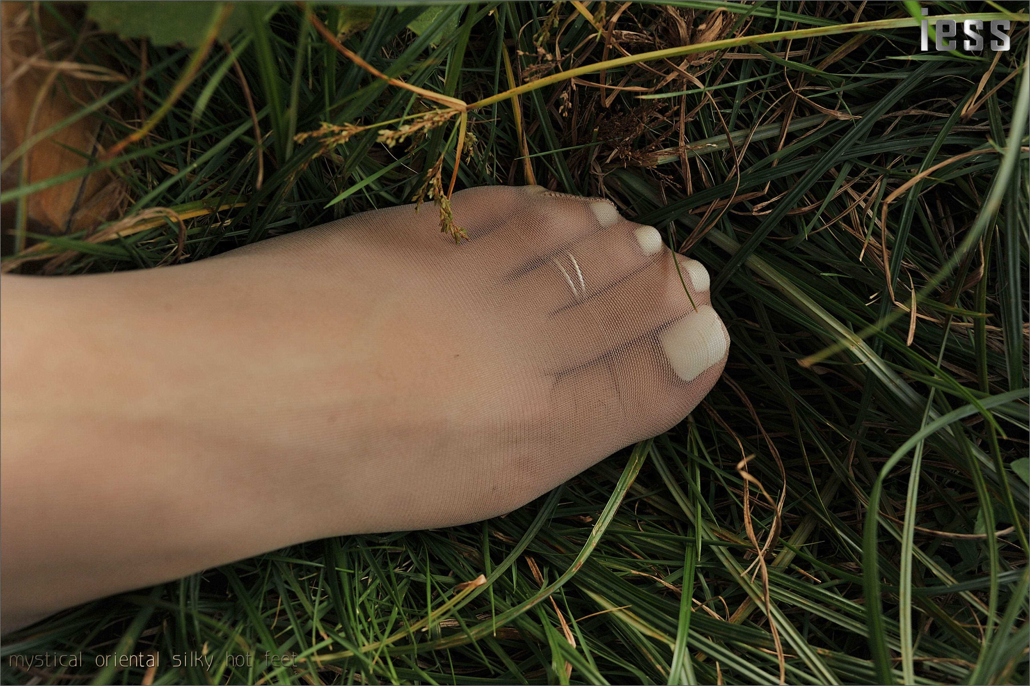 China Beauty Legs and feet 119