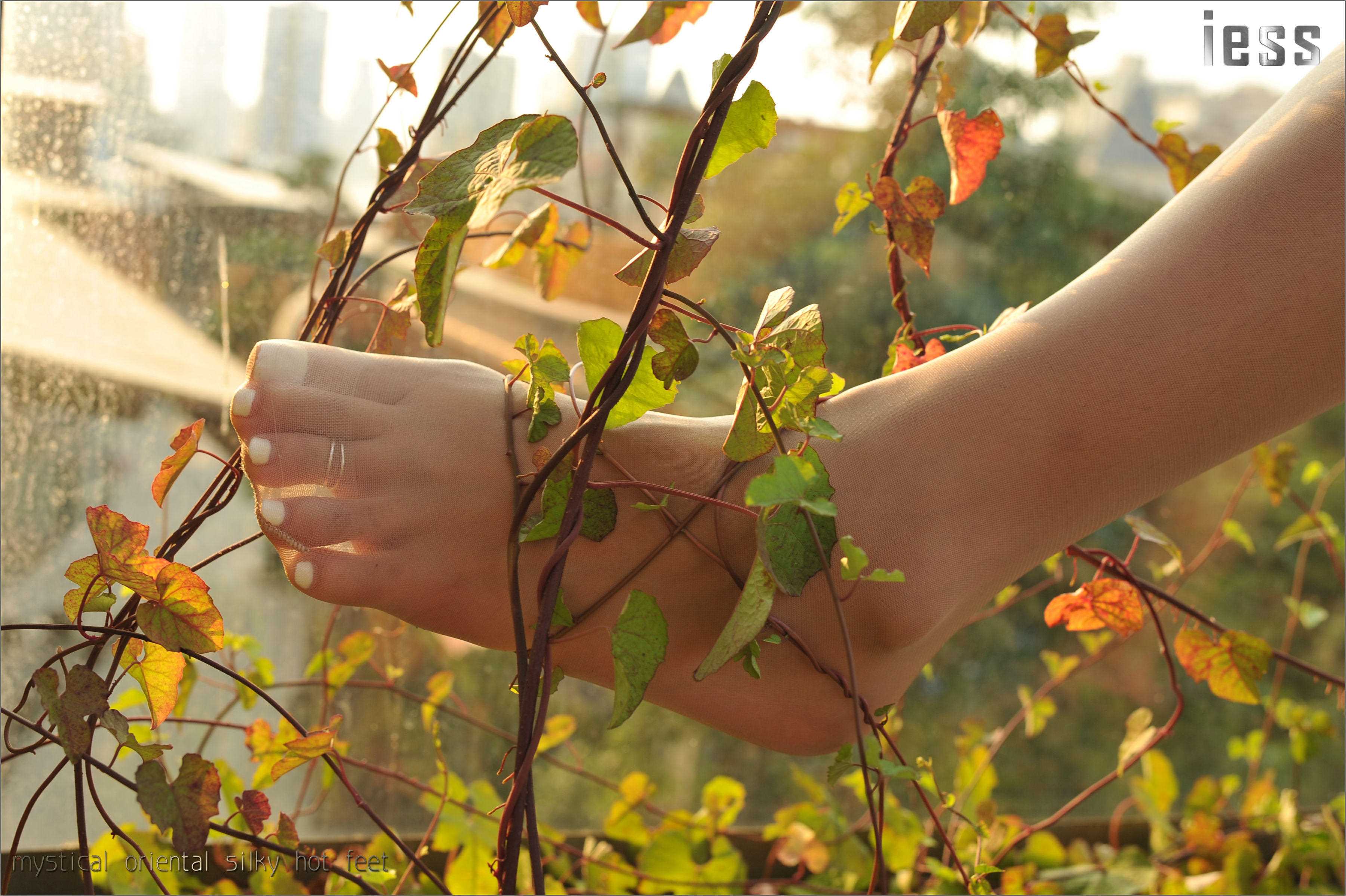 China Beauty Legs and feet 119