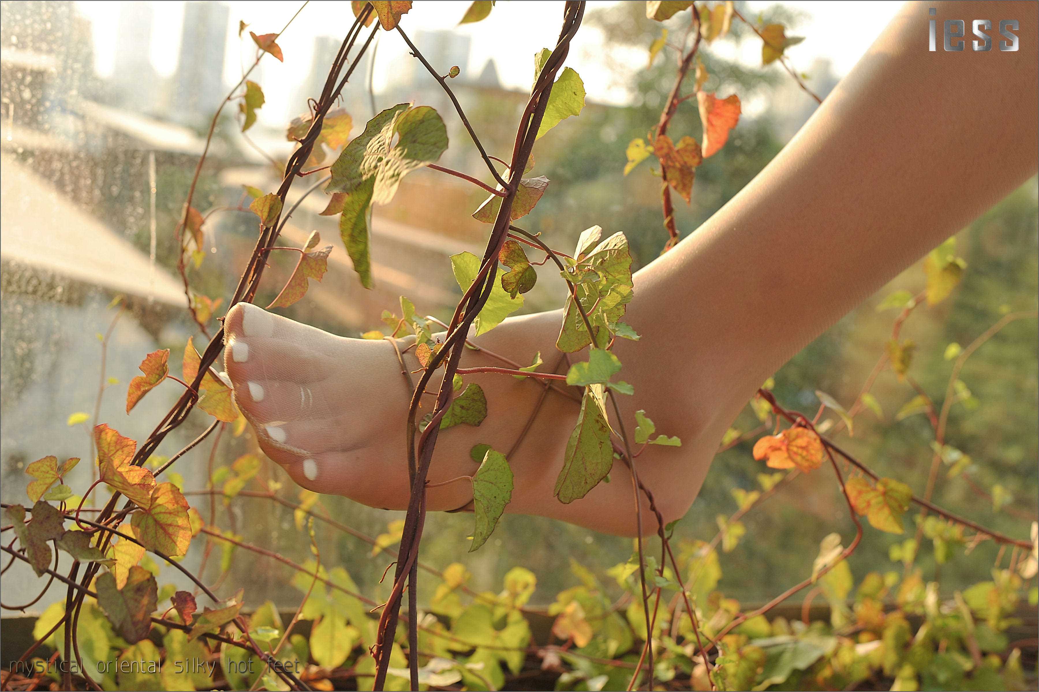 China Beauty Legs and feet 119