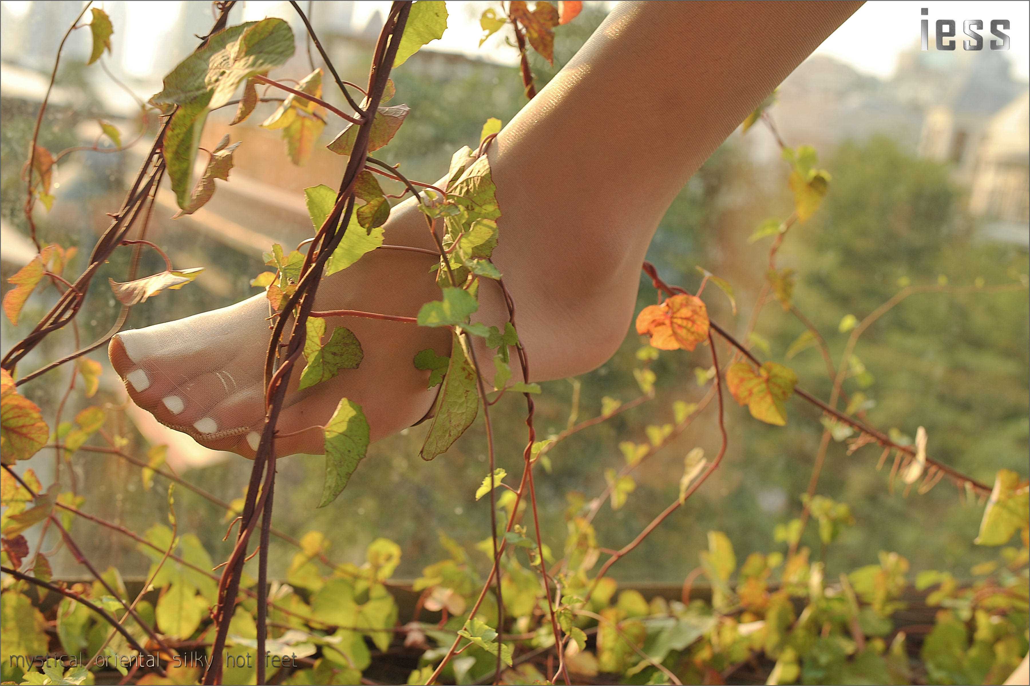 China Beauty Legs and feet 119