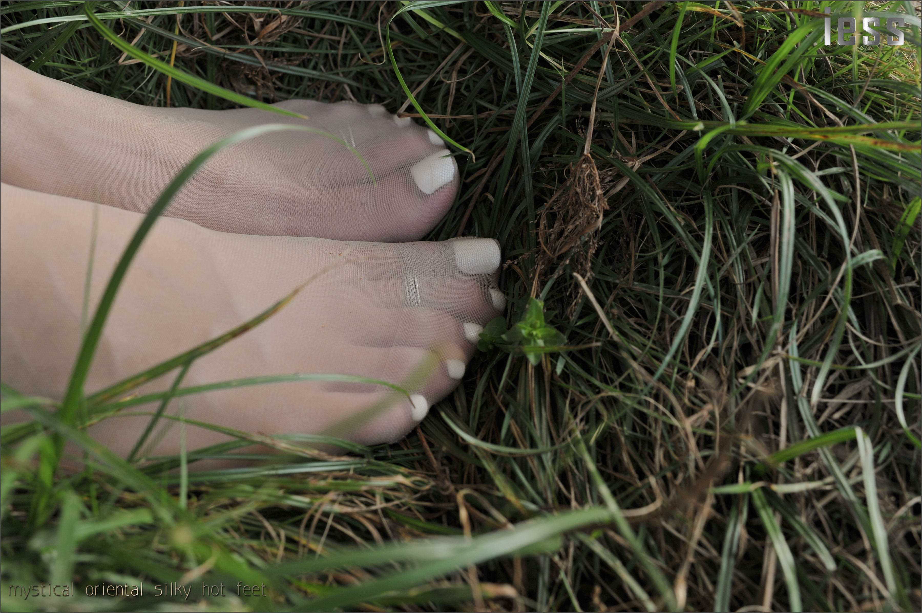 China Beauty Legs and feet 119