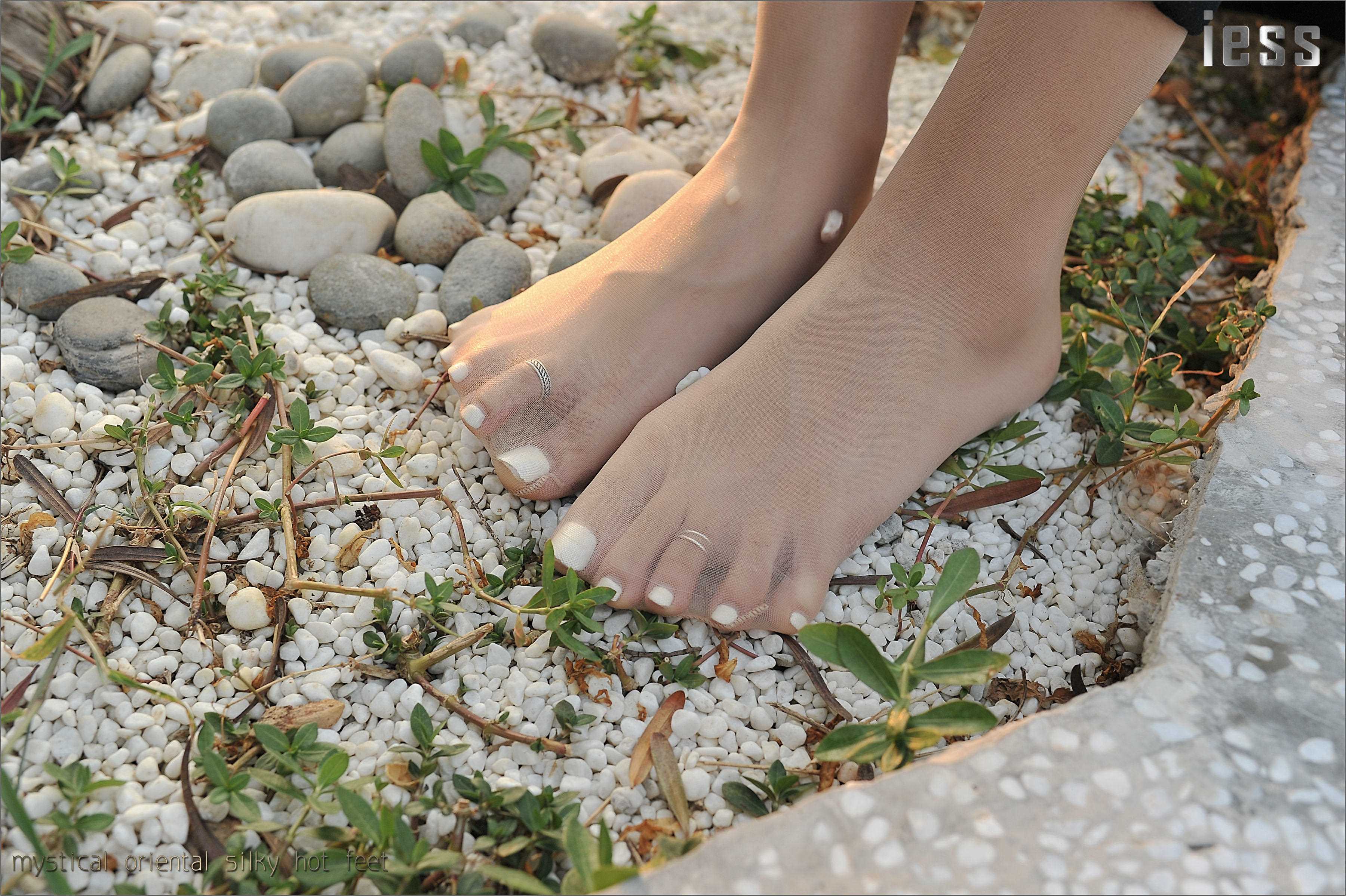 China Beauty Legs and feet 121