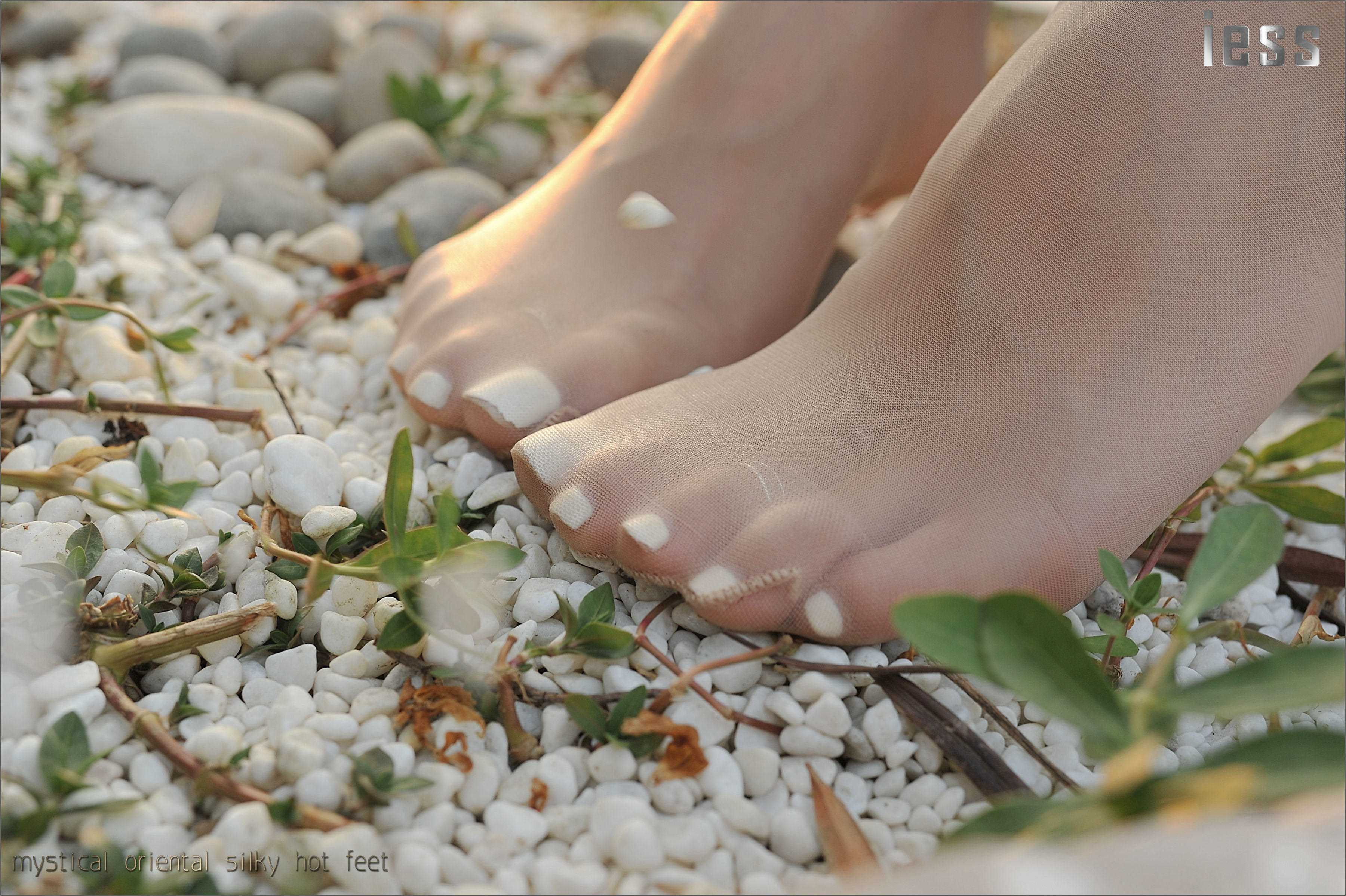 China Beauty Legs and feet 121