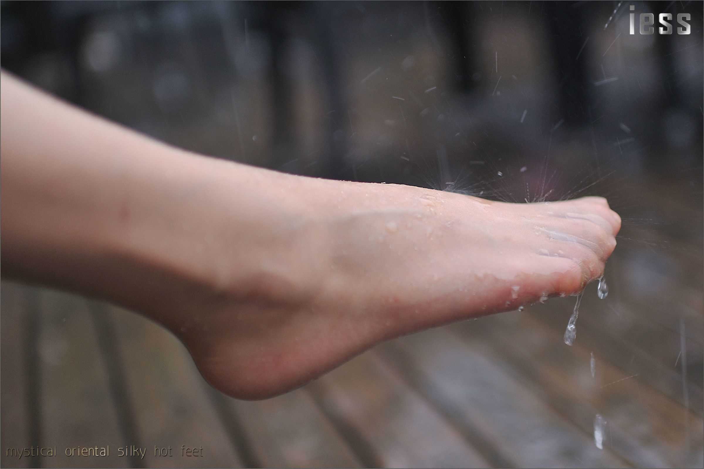 China Beauty Legs and feet 128