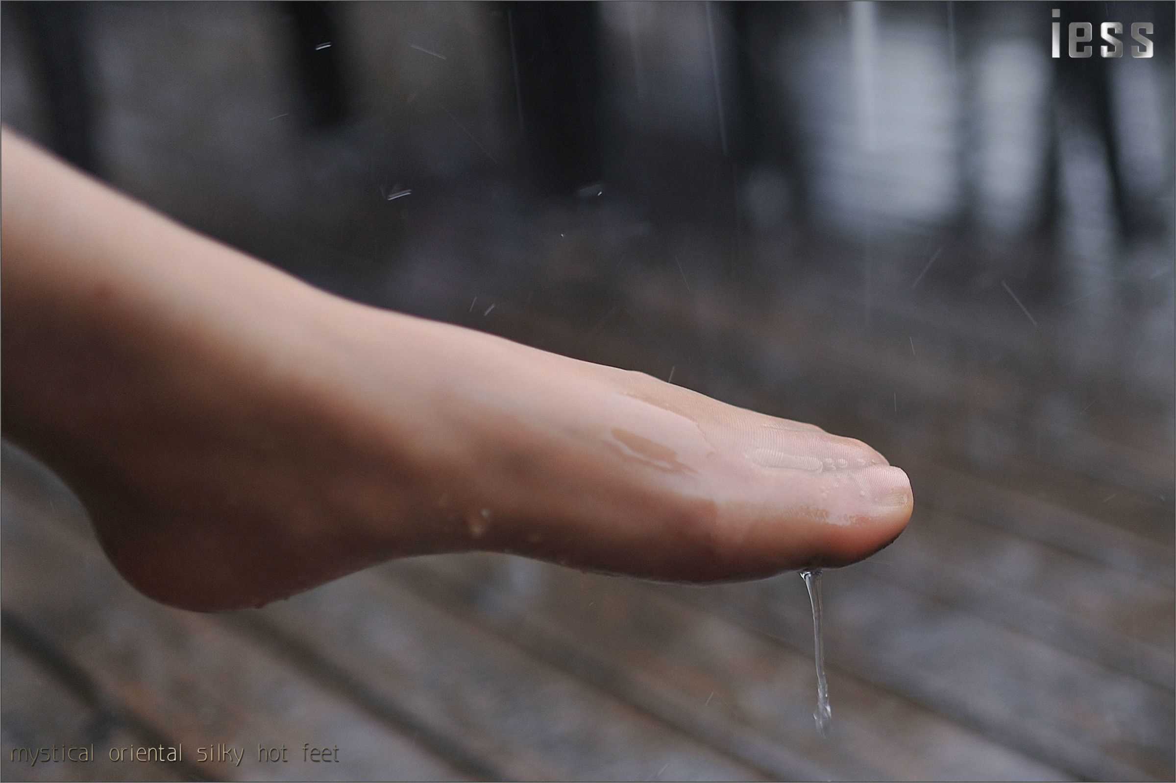 China Beauty Legs and feet 128