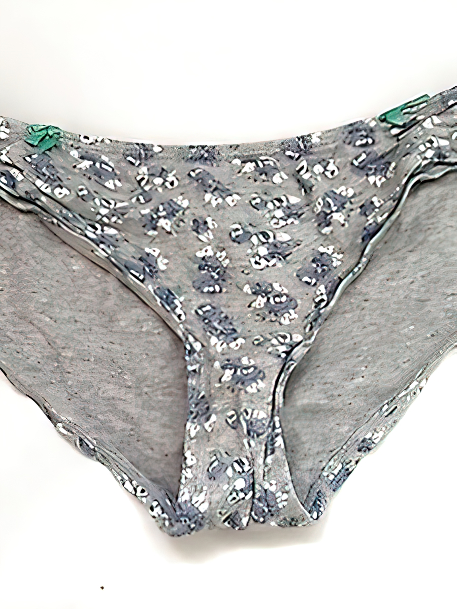 Carrie and her Panties