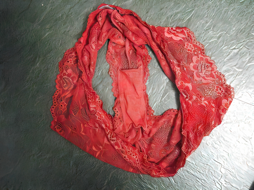 Carrie and her Panties