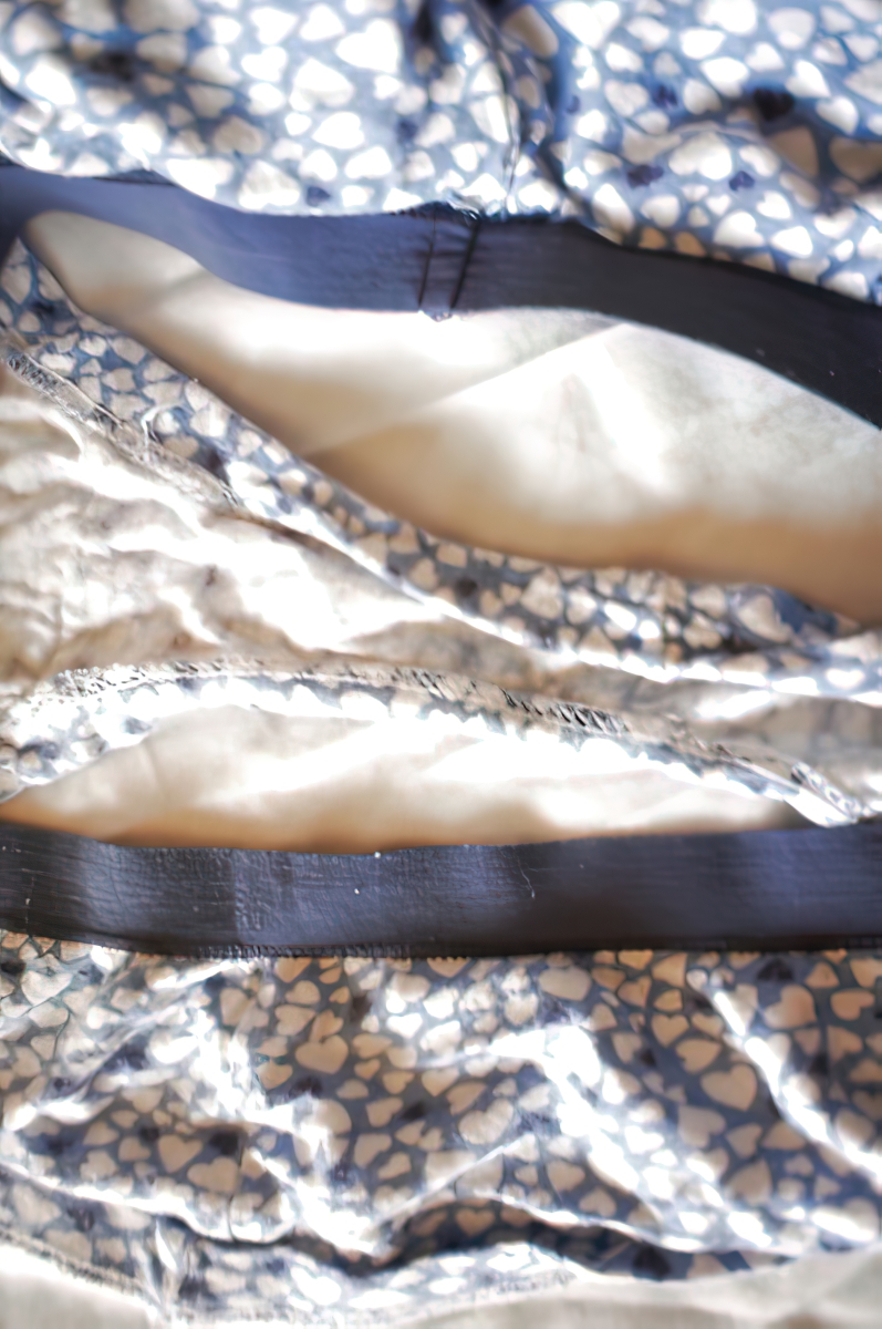 Carrie and her Panties