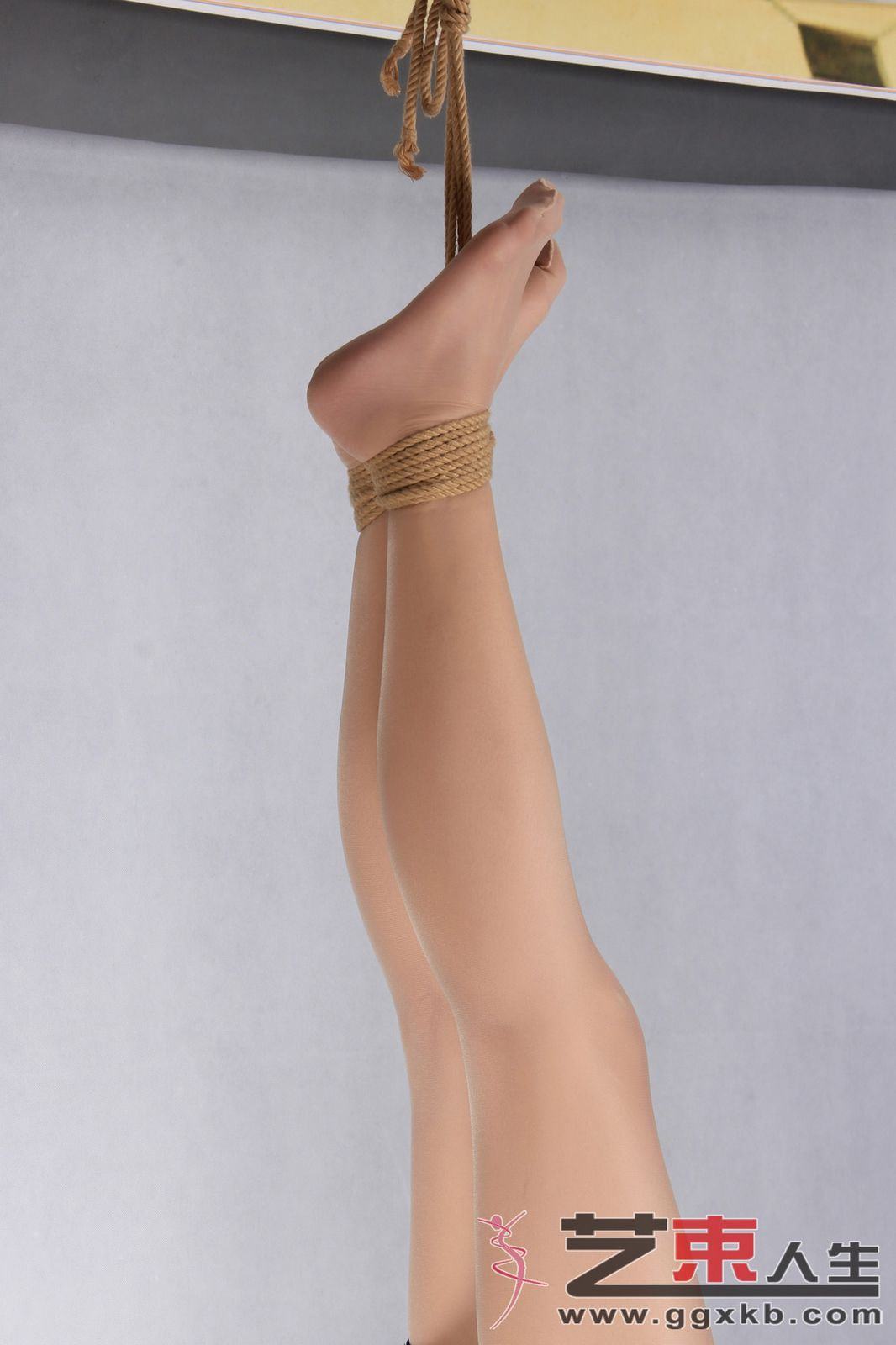 Chinese Art Rope Life 46