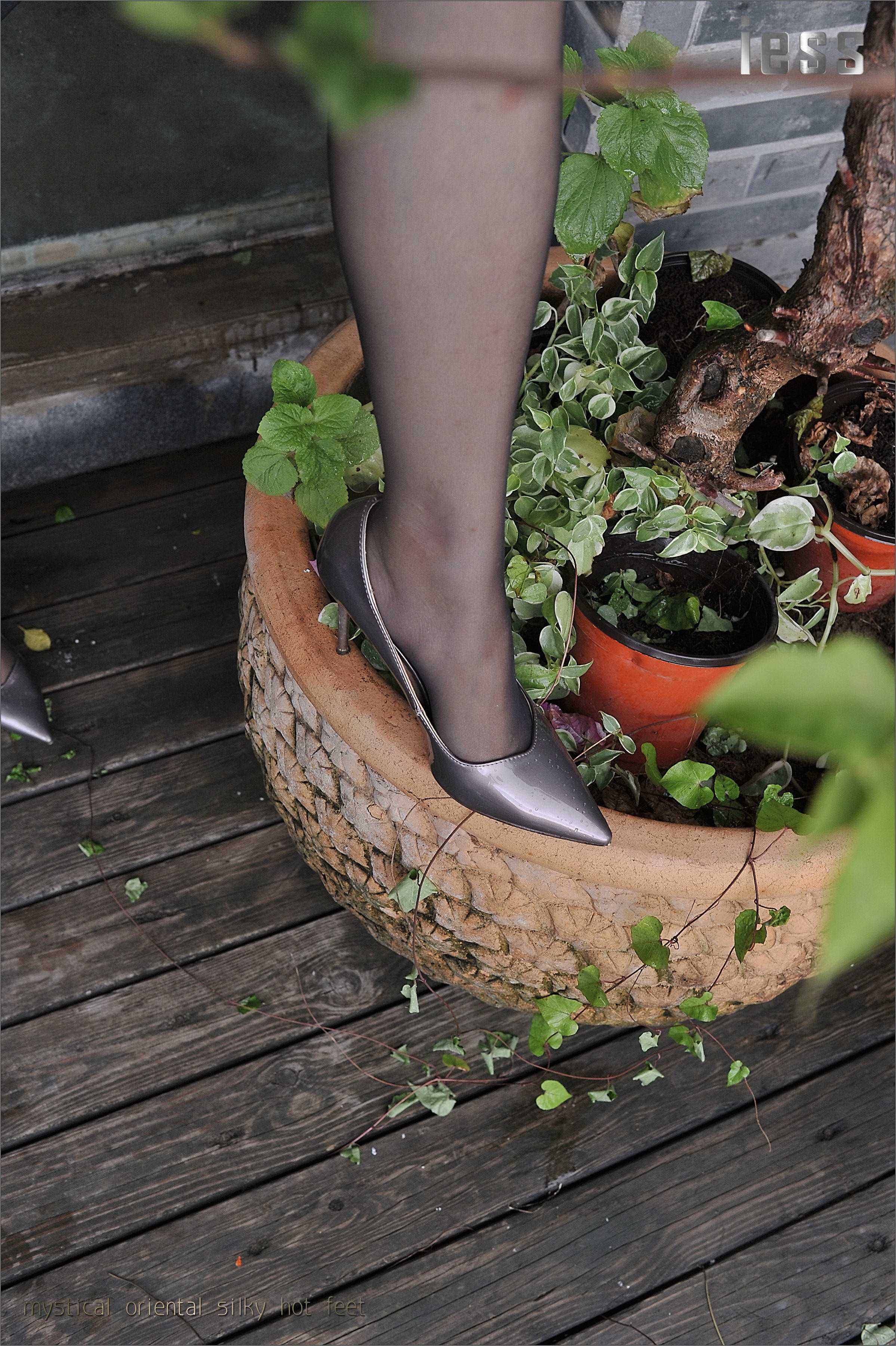 China Beauty Legs and feet 132