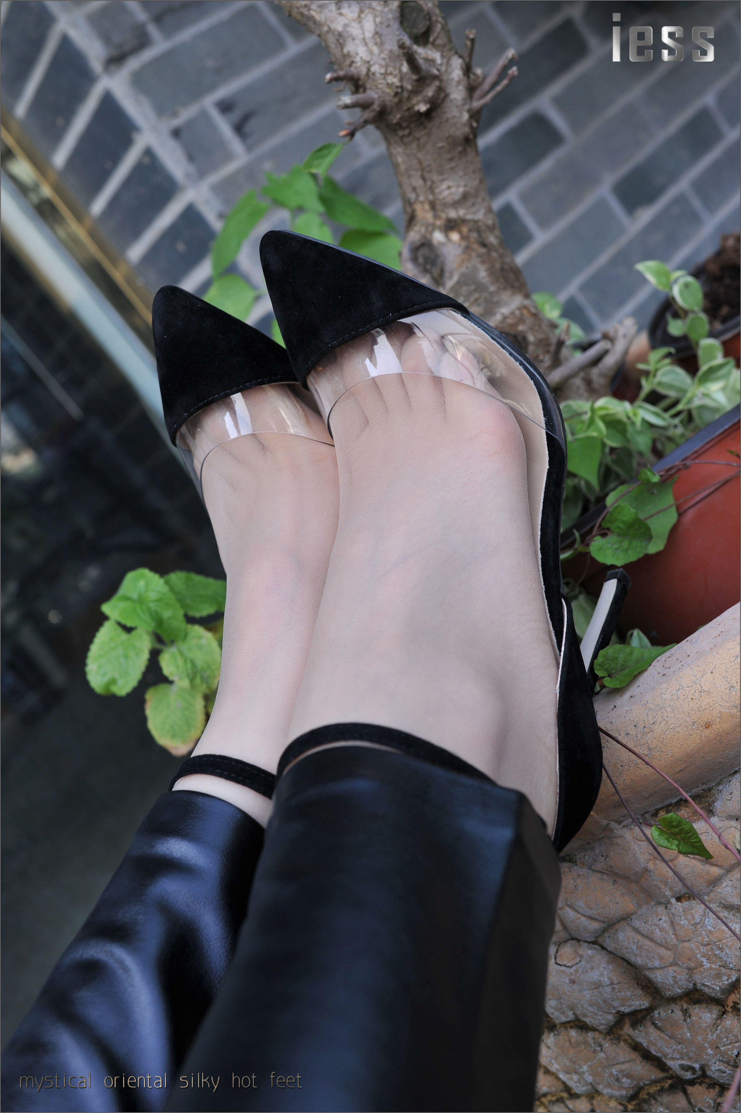 China Beauty Legs and feet 136