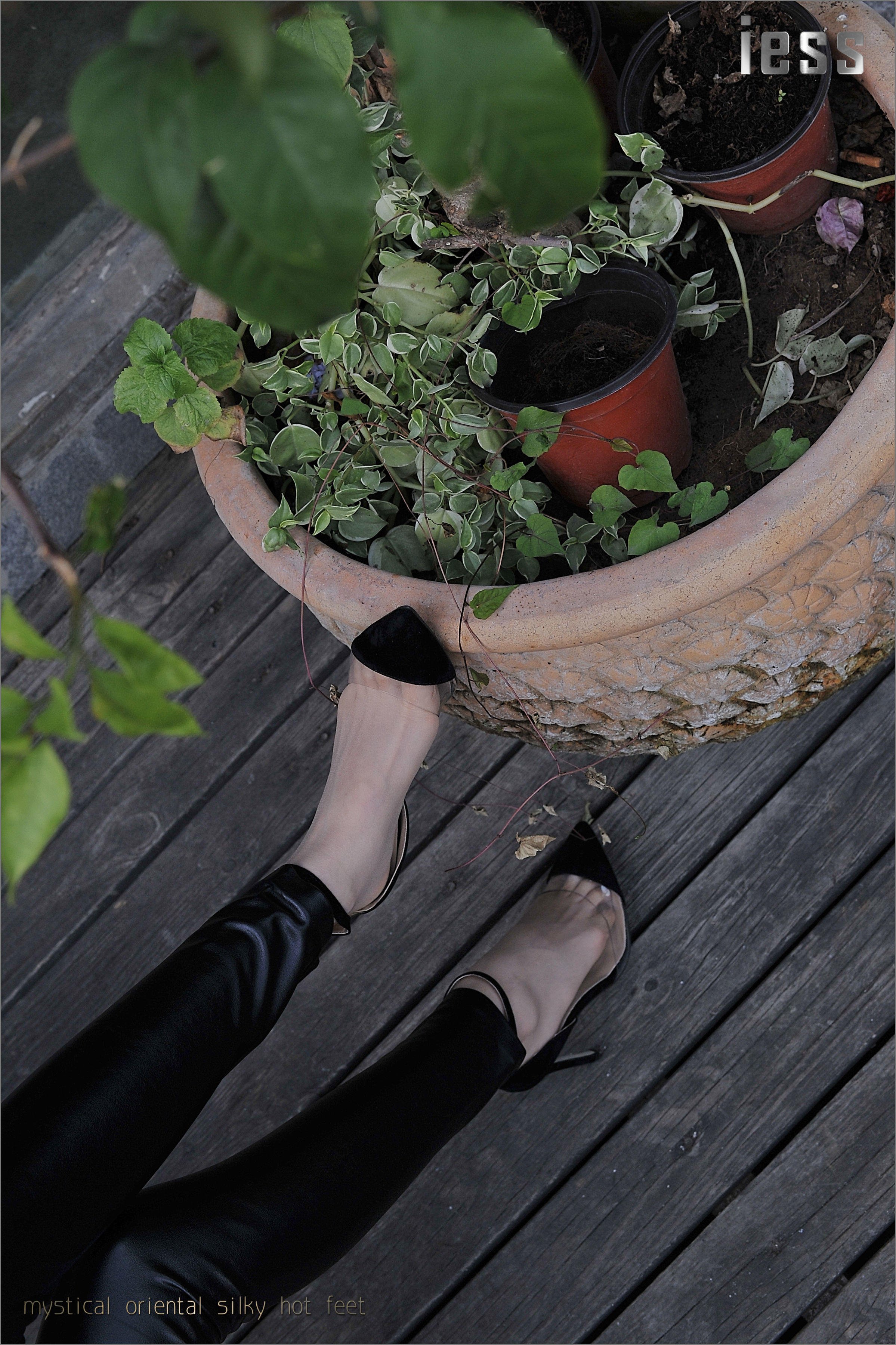 China Beauty Legs and feet 136