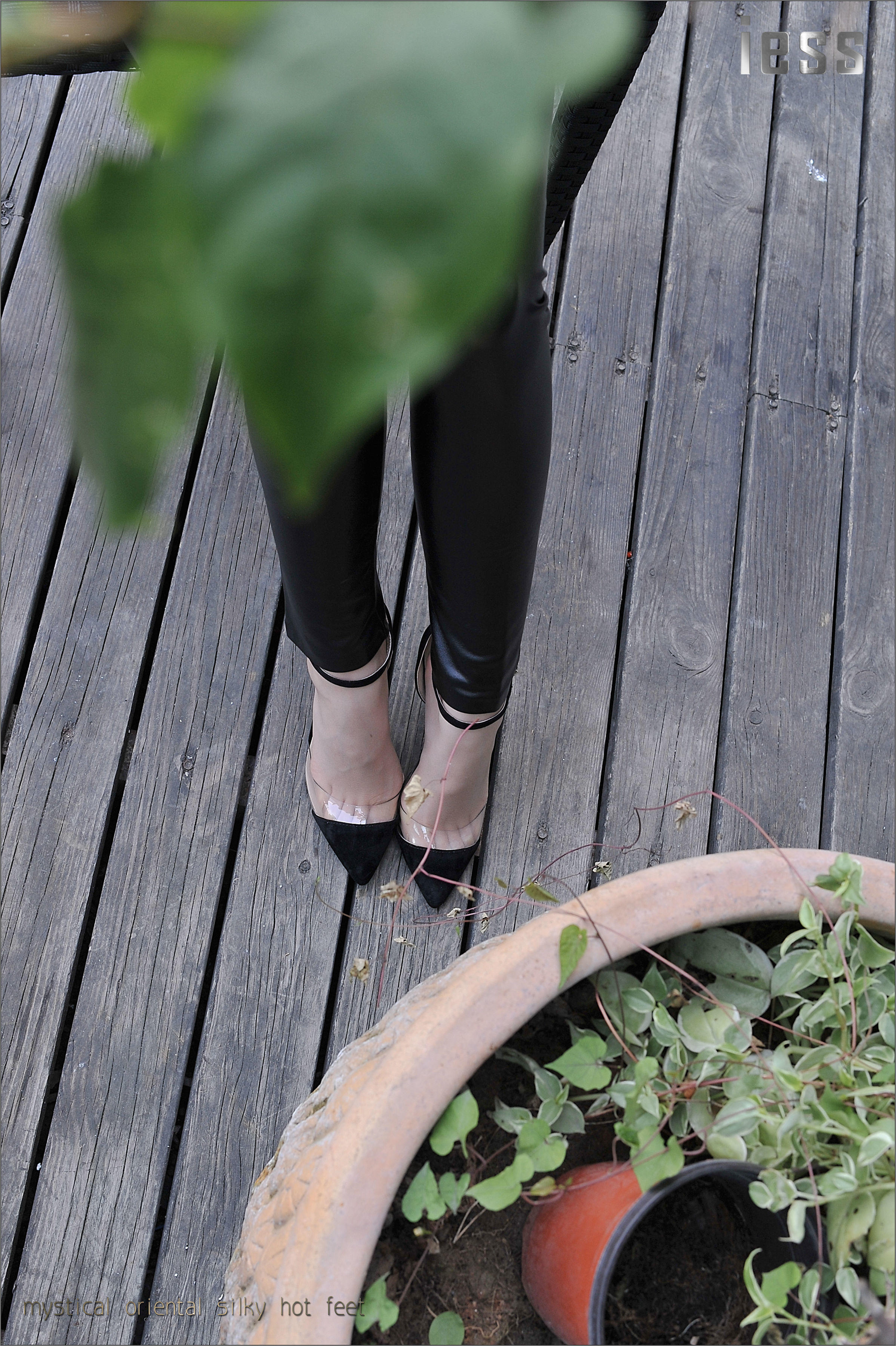 China Beauty Legs and feet 136