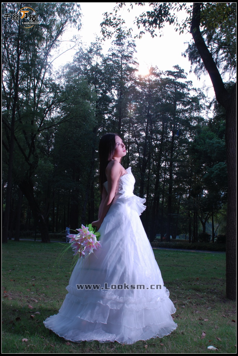 Chinese Rope Model 9