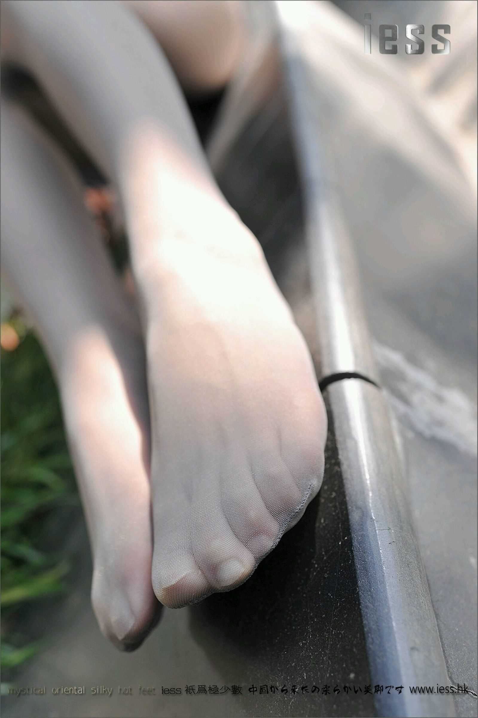 China Beauty Legs and feet 148