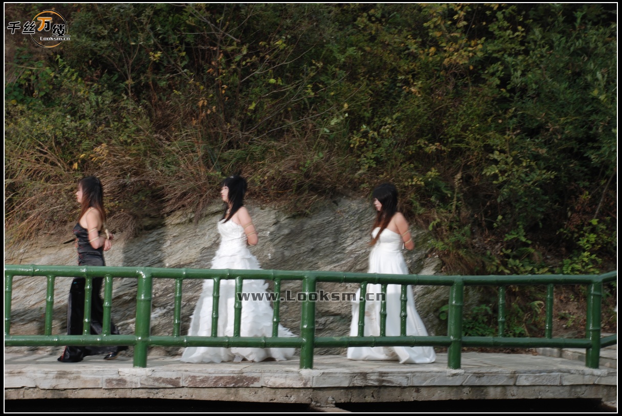 Chinese Rope Model 38