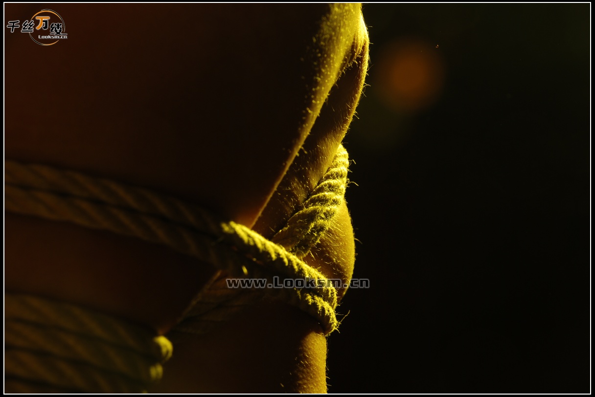 Chinese Rope Model 48