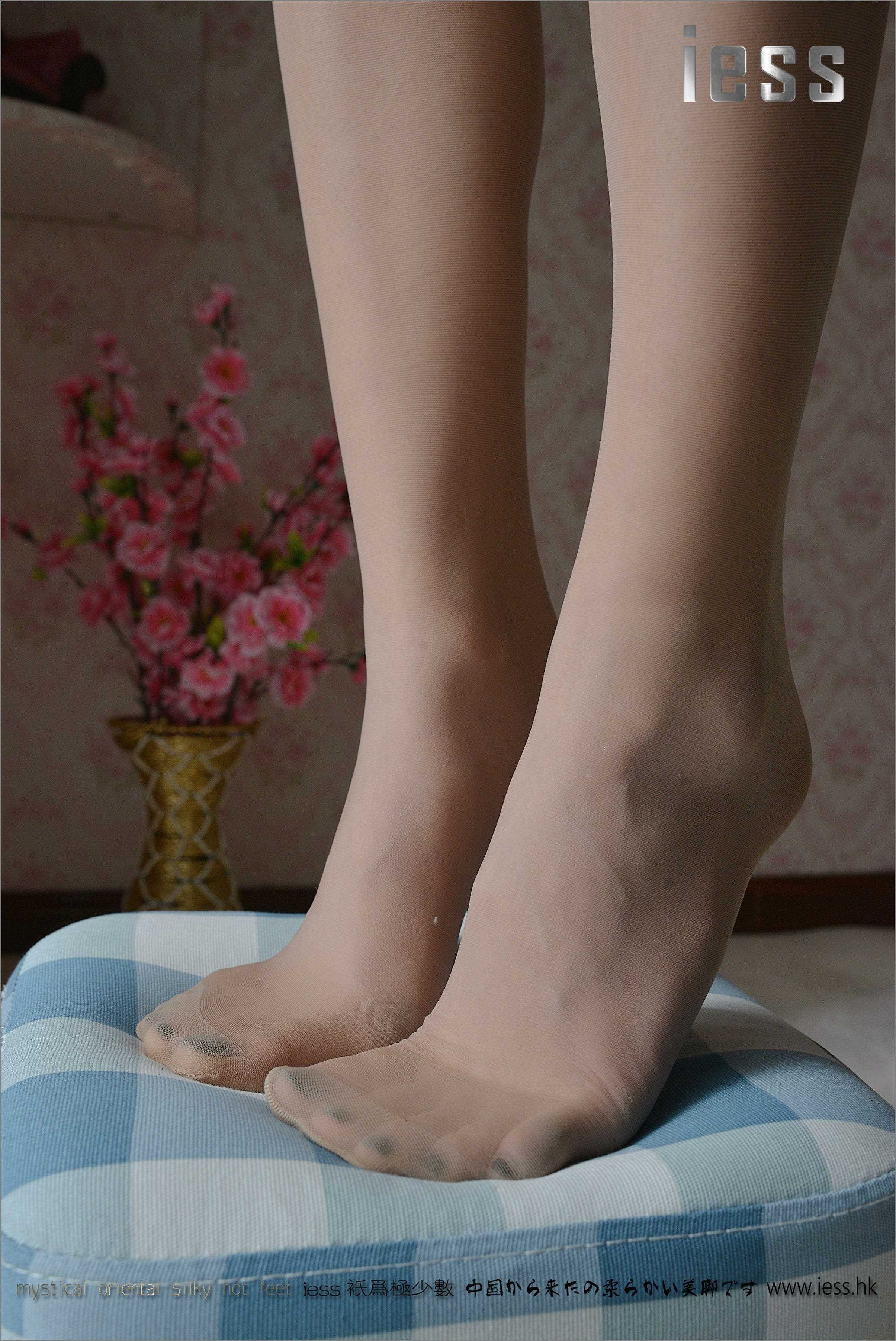 China Beauty Legs and feet 159