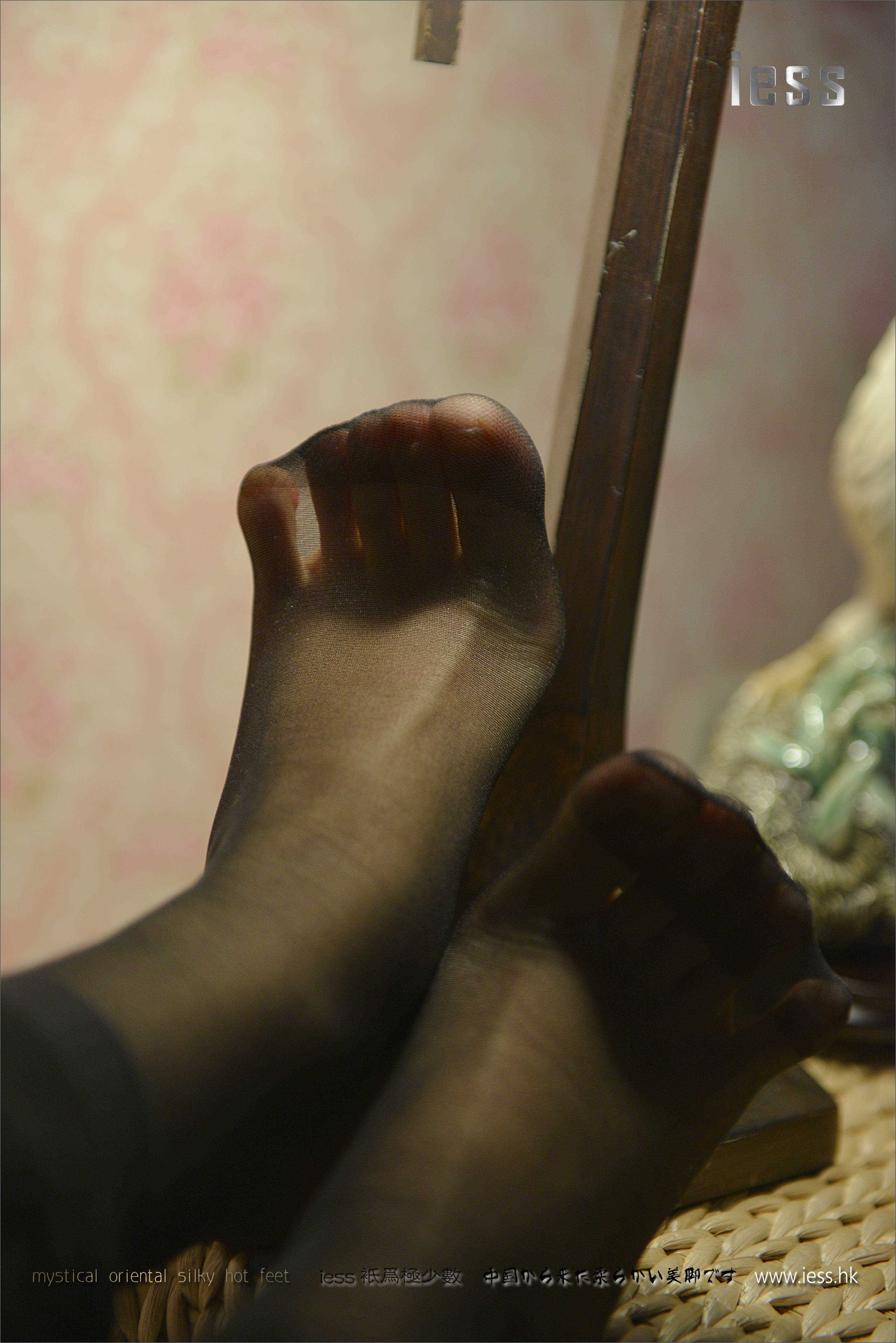 China Beauty Legs and feet 166