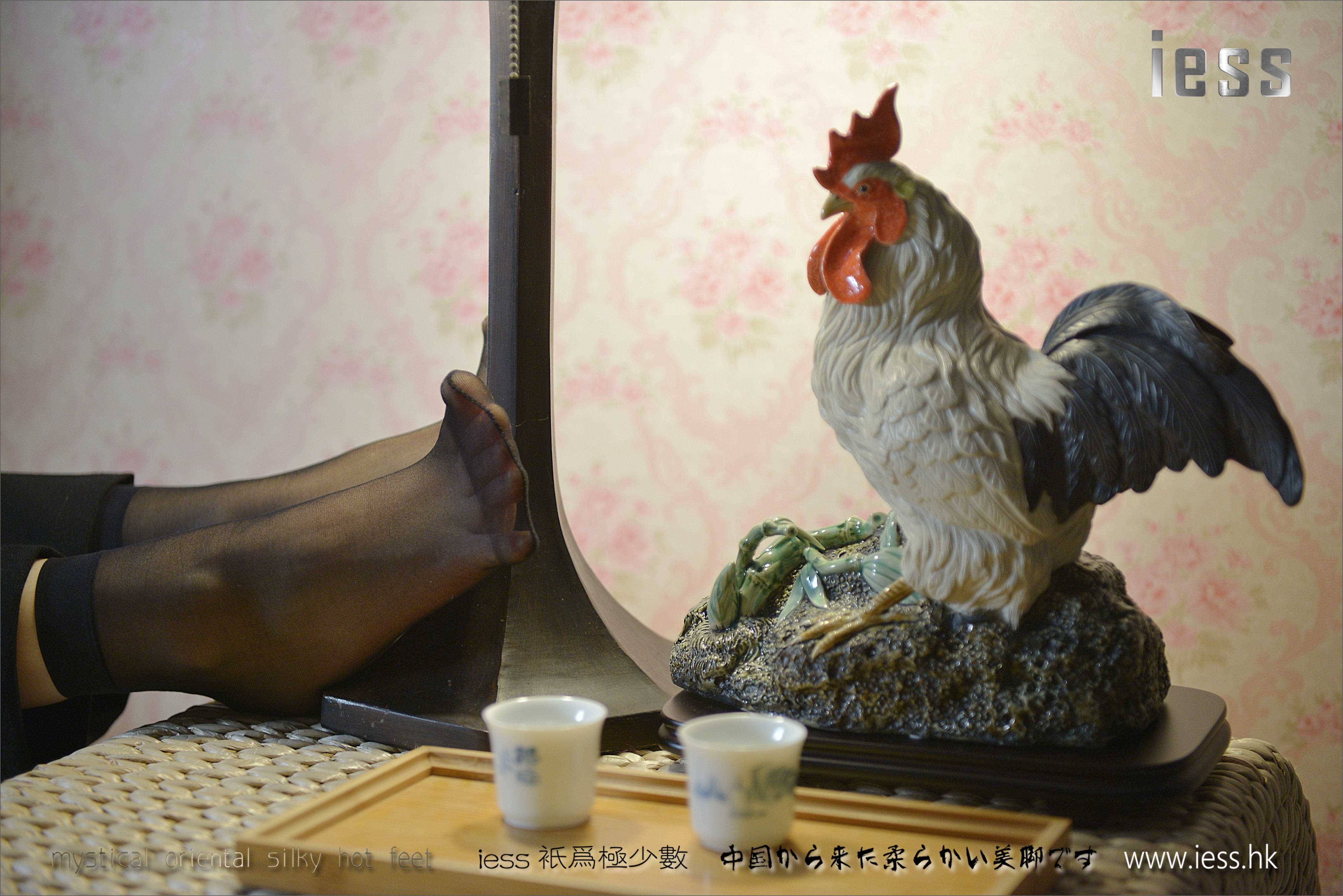 China Beauty Legs and feet 166