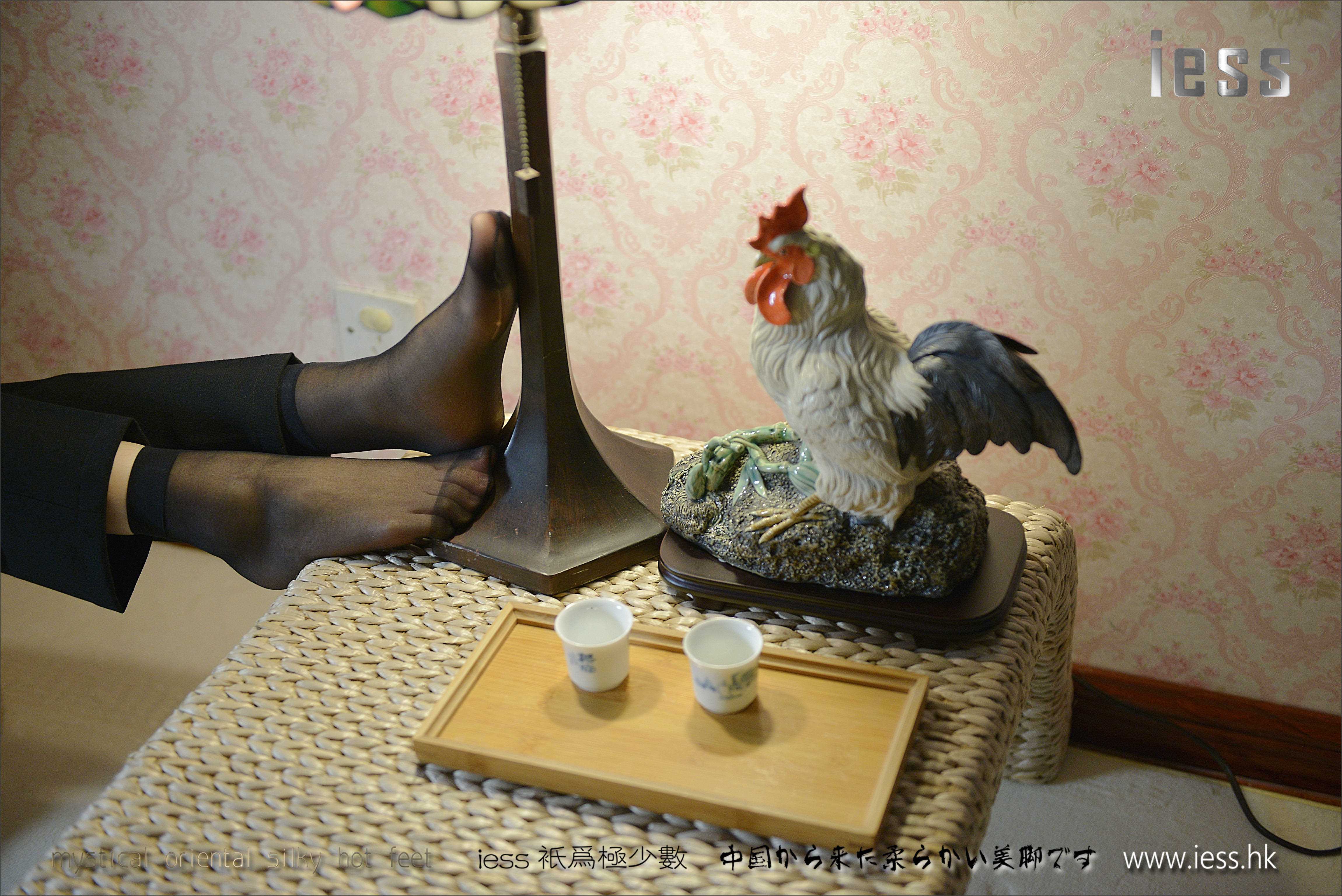 China Beauty Legs and feet 166