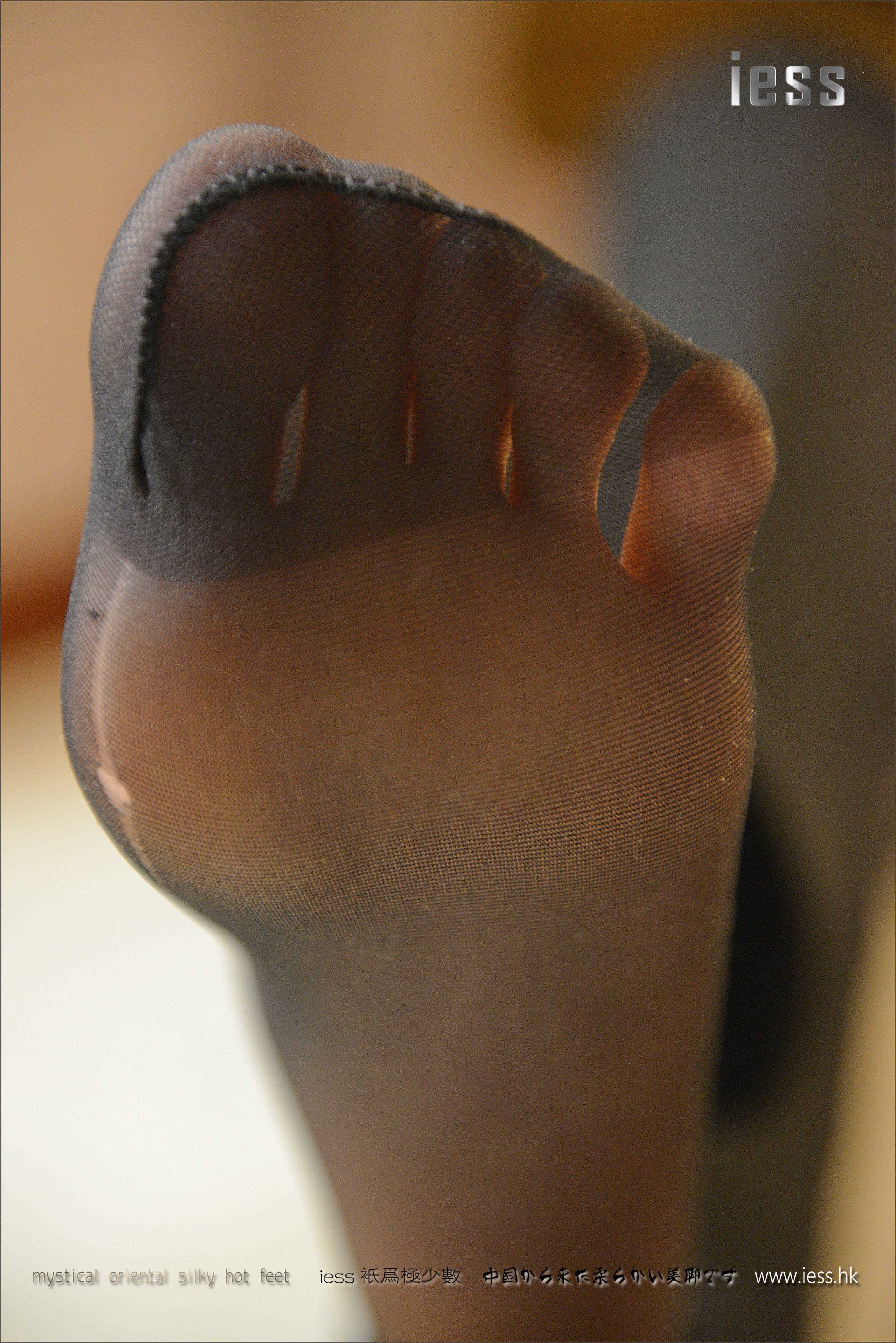 China Beauty Legs and feet 166