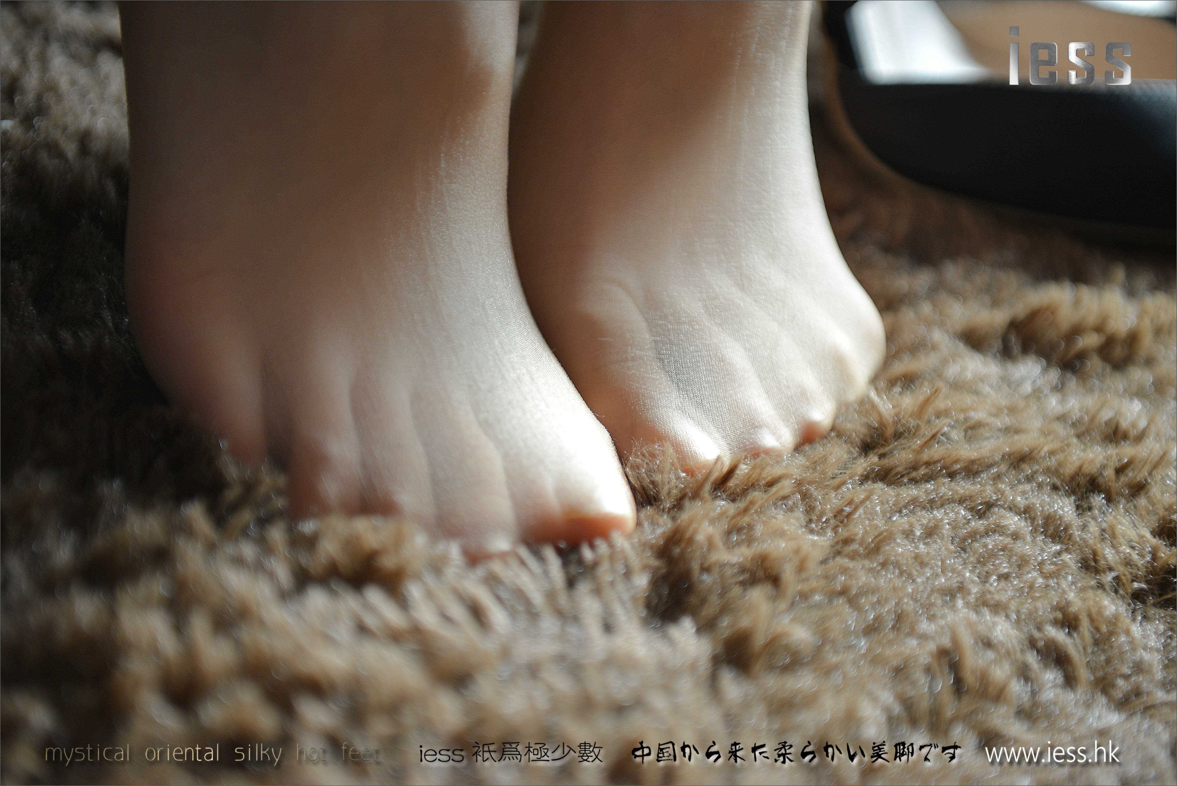 China Beauty Legs and feet 173
