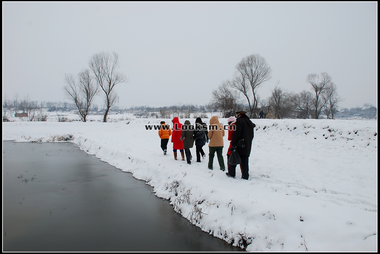 Chinese Rope Model 181