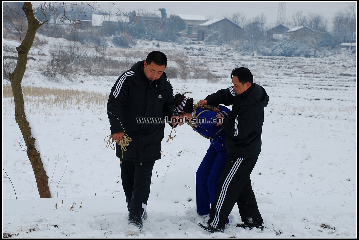 Chinese Rope Model 181