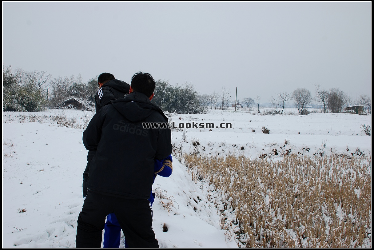 Chinese Rope Model 181