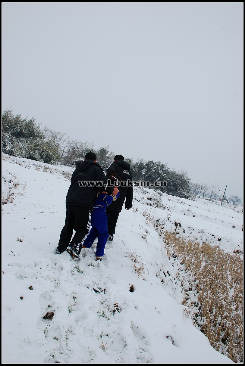 Chinese Rope Model 181